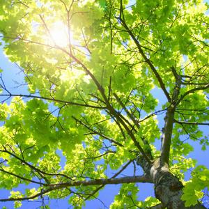 性表演XXX性表演
